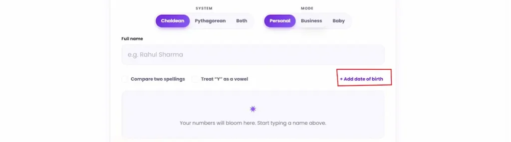Add a date of birth (optional) in Name Numerology Calculator 