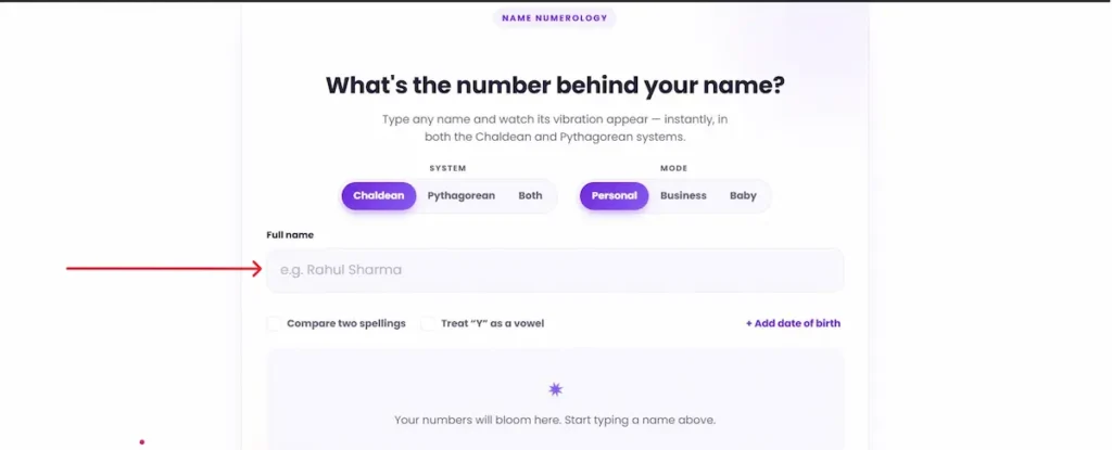 Typing a name in the numerology calculator